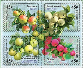 Россия 2019 год. Флора России. Продолжение серии. Сорта яблони, 4 марки сцепка Россия 2019 год. Флора России. Продолжение серии. Сорта яблони, 4 марки сцепка