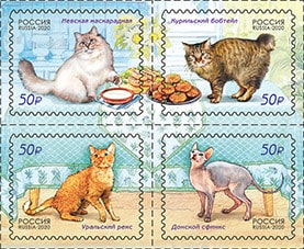 Россия 2020 год. Фауна России. Кошки, 4 марки Россия 2020 год. Фауна России. Кошки, 4 марки
