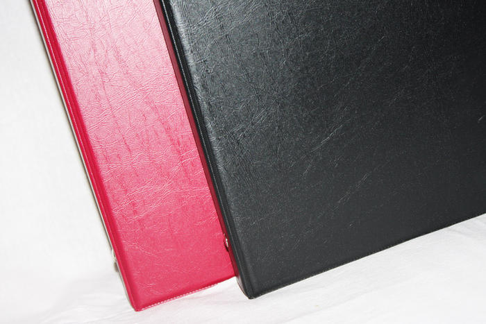 Альбом для монет вертикальный 230х270 мм, лист с клапаном Альбом для монет вертикальный 230х270 мм, лист с клапаном