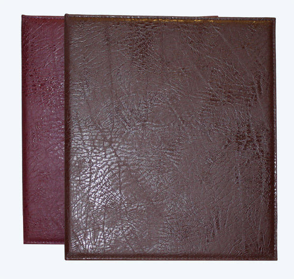 Альбом вертикальный 230х270 мм, кожзаменитель, с листами для медалей Альбом вертикальный 230х270 мм, кожзаменитель, с листами для медалей